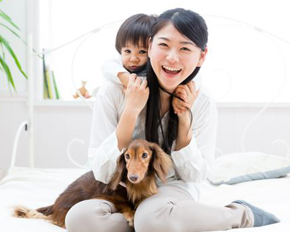 にくきゅう堂について