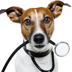 医薬品医療機器等法