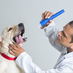 インドでジェネリック薬が多い理由