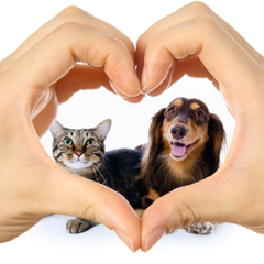 ジェネリック薬が安価な理由