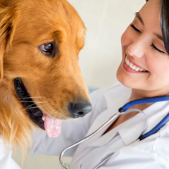 ジェネリック薬の効果と安全性