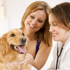 ジェネリック薬の需要（日本と欧米）