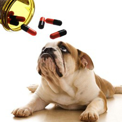 個人輸入の注意点